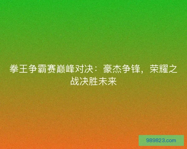 拳王争霸赛巅峰对决：豪杰争锋，荣耀之战决胜未来