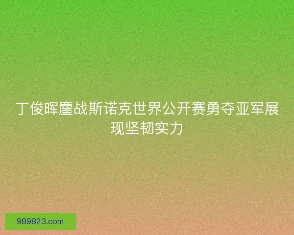 丁俊晖鏖战斯诺克世界公开赛勇夺亚军展现坚韧实力